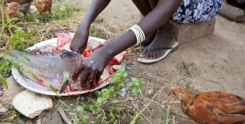 image_shows_fish_being_chopped_in_an_unhygienic_environment_signifying_the_African_Union's_goal_to_set_up_the_Africa_Food_Safety_Agency