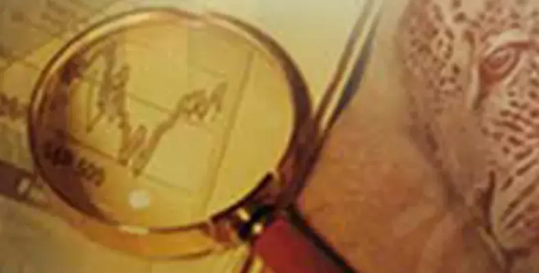 image_shows_AGSA's_review_of_2025/26_APP_briefed_to_the_Agriculture_Committee