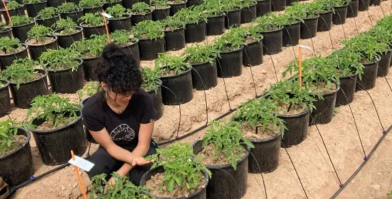 image_shows_collaboration_to_demonstrate_POLY4's_impact_on_soil_health