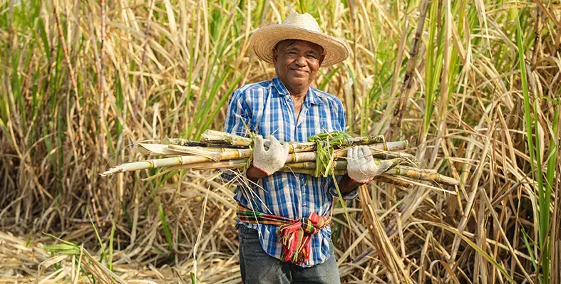 Image_of_sugarcanfarmer