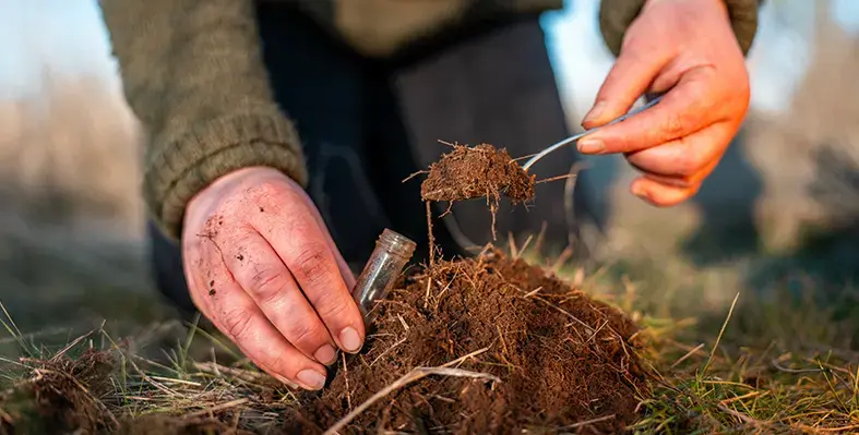 Image_of_regenerative_farming