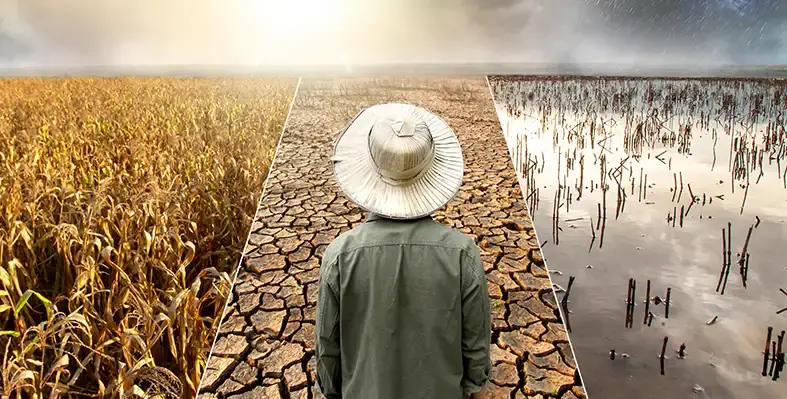 Image_of_climate_change_effect