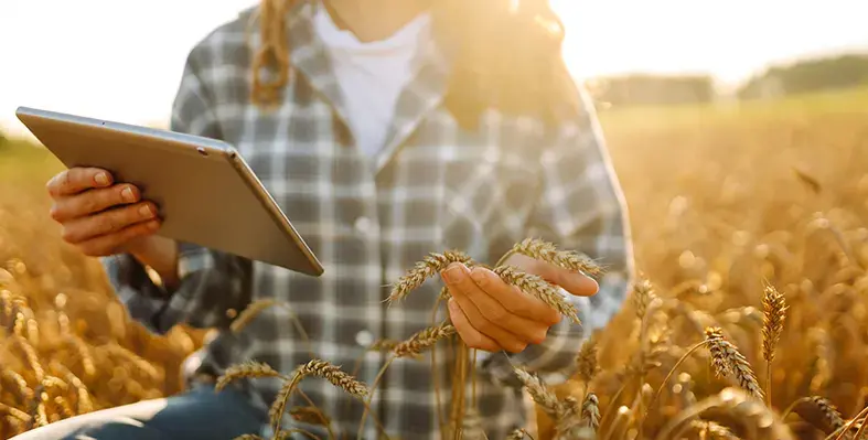 Image_of_digital_service