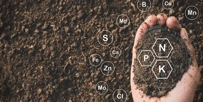 Image_of_soil_felitilizer