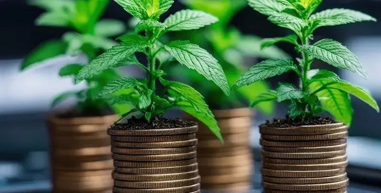 Image_of_investment_in_agriculture