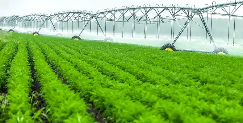 Image_of_agriculture_land