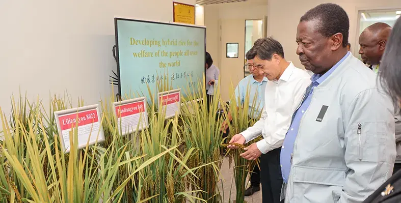  Image_of_Minister_evaluating_progress_of_FOCAC