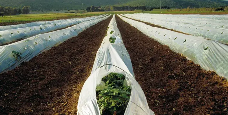 image_indicates_the_need_to_switch_to_biodegradable_plastics_to_prevent_microplastics_from_being_a_threat_to_the_future_of_farming