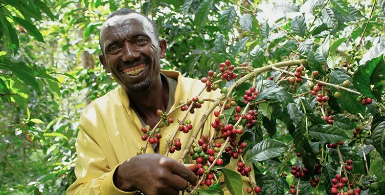 Farm_Africa’s_project_developed_economic_incentives_for_15_forest-dependent_communities_living_in_conservation_hotspots_in_the_area_to_protect_the_forests