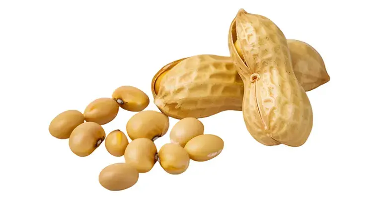 image_of_soyabean