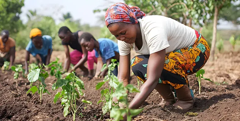 image_of_womenfarmers