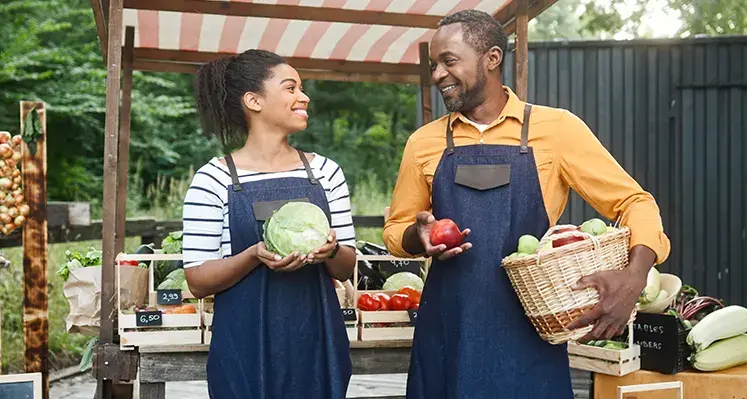 government_licence_cuts