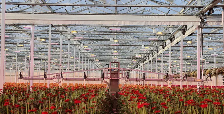 image_shows_the_entomatic_automated_dispenser_designed_to_control_spider_mites