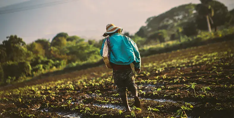 farmers_first_strategy