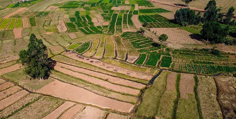 Image_of_climate_smart_agriculture