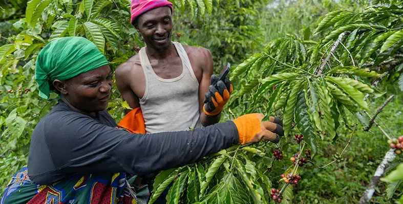Image_of_small_farmers