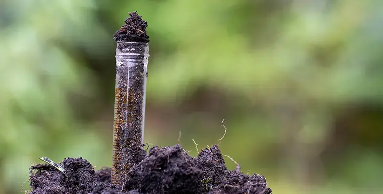 Image_of_soil_health