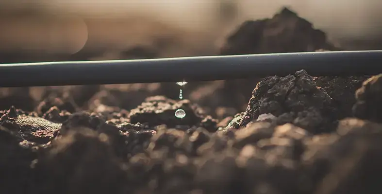 Image_of_drippingirregation