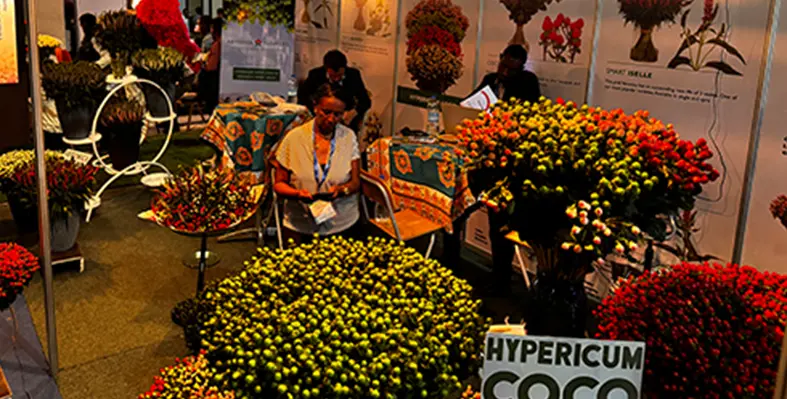 Image_of_hortifloraevent