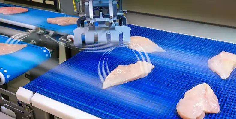 Image_of_robooptimizer