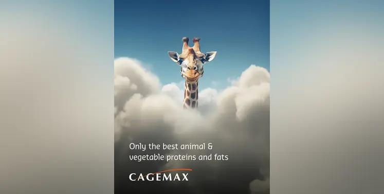 Image_of_Cagemax
