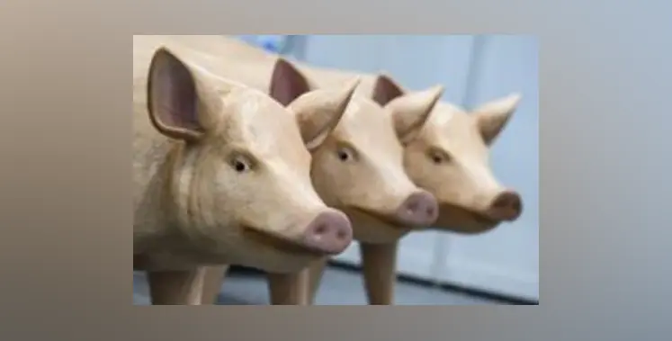 Image_of_ biosecurity_and_feed_safety