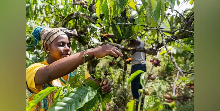 Image_of_farmers