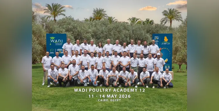 Image_of_wadi_group 