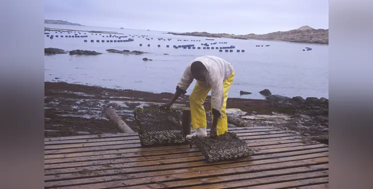 Image_of_fisheries_in_Africa