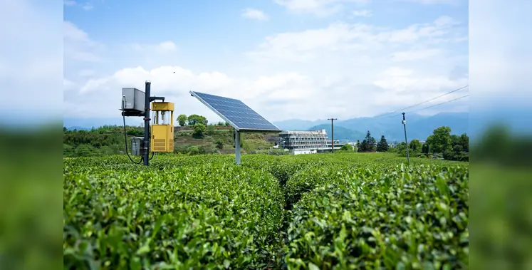 Image_of_Solar_powered_irrigation 