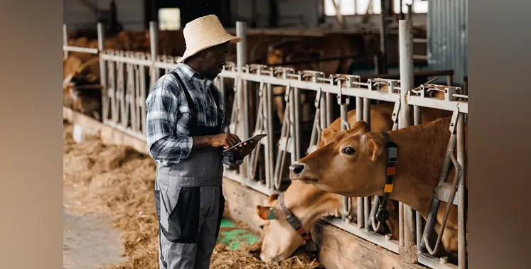 Image_of_checking_FMD