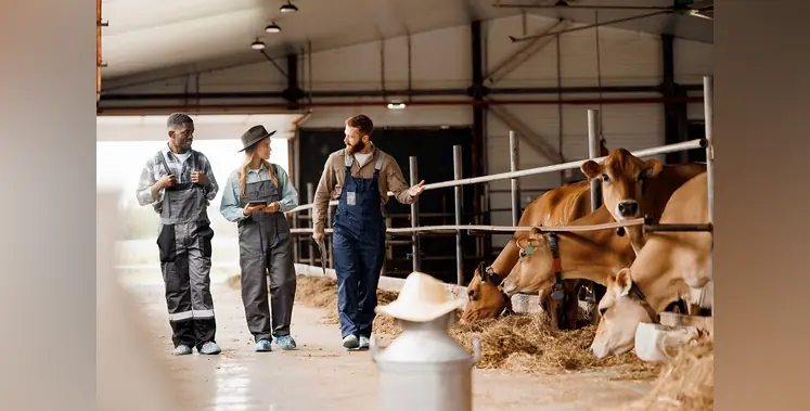 Image_of_ livestock_innovations