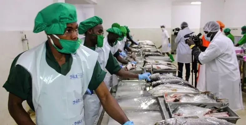 Lake_Victoria_fish_industry