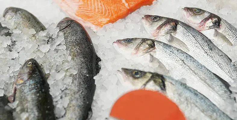 west_coast_fisheries