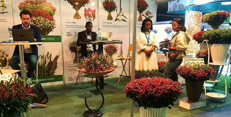 Hortiflora_2026_Ethiopia