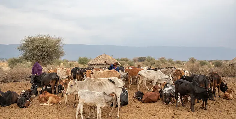 Prioritise_women_in_development