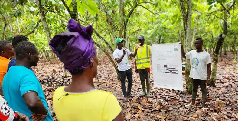 Training session in progress.