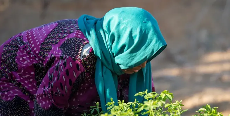 woman in field