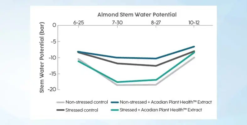 Almond stem water potential 