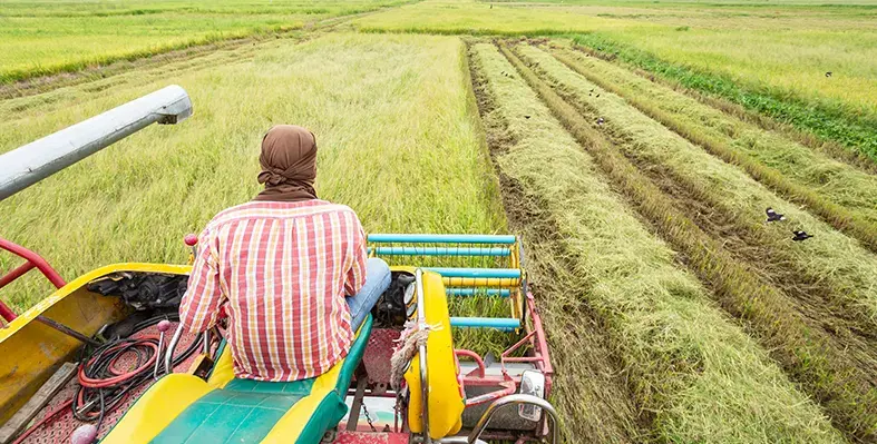 Farmer_on_the_truck_across_agrifield