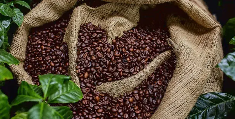 coffee beans