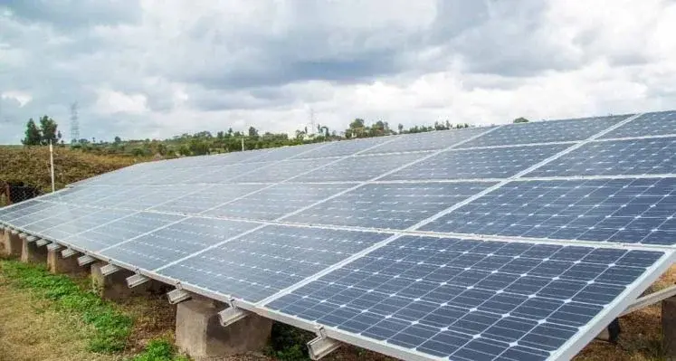 Renewable energy for agri-businesses 