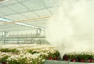 Biofume Greenhouse Smoke Generator in action