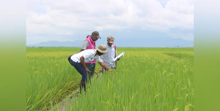 Farmers_in_the_field