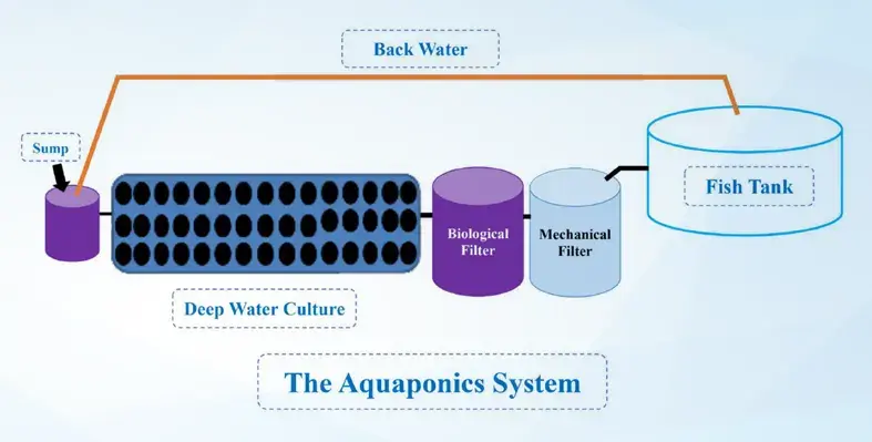 Aquaponics system