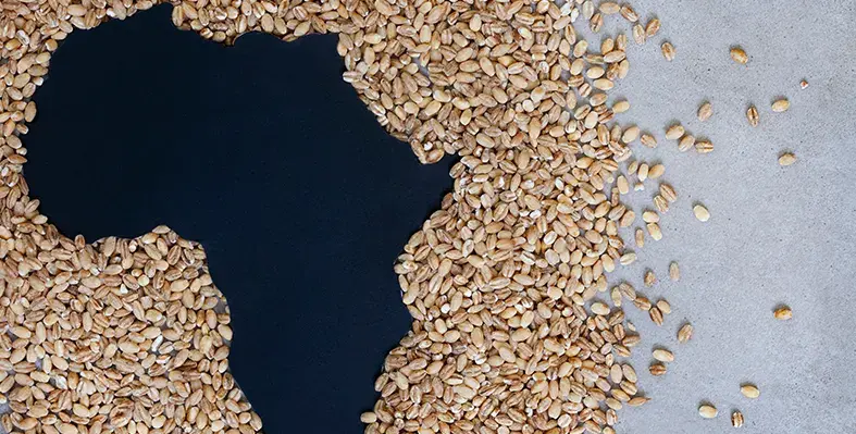 Image_of_africa'smap