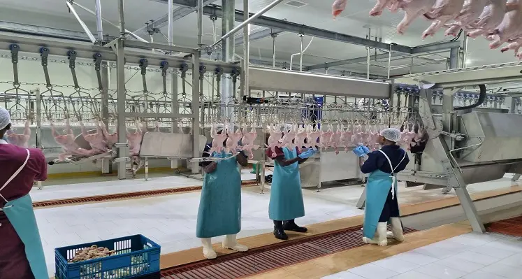 The Hill Group poultry processing plant in Tanzania